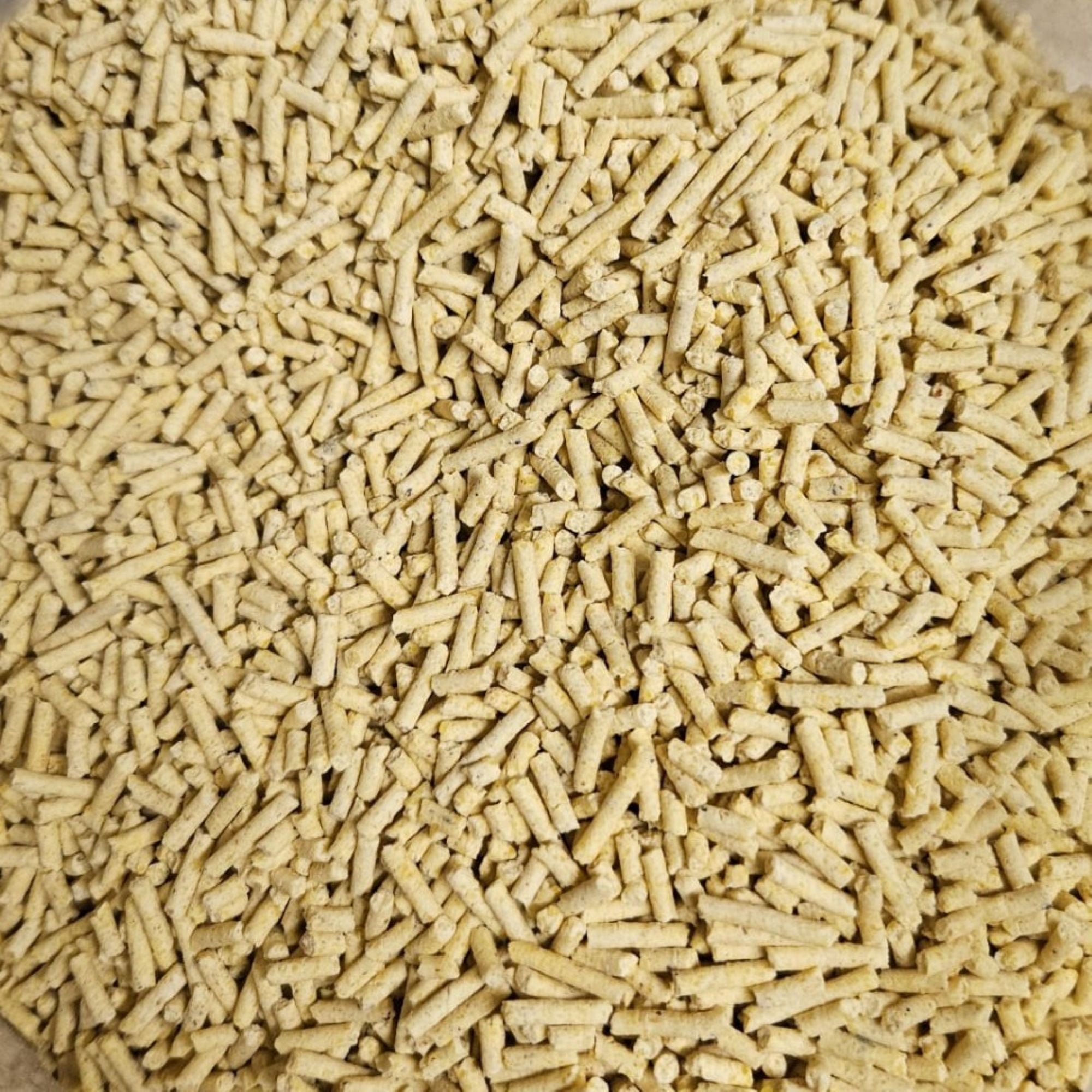 Denny BioAnimals® Maisstreu Katzenstreu 9 kg (3x3 kg) – 100 % natürlich & biologisch abbaubar – klumpend, staubfrei & geruchsneutral – nachhaltige Katzenstreu aus Maisfasern.