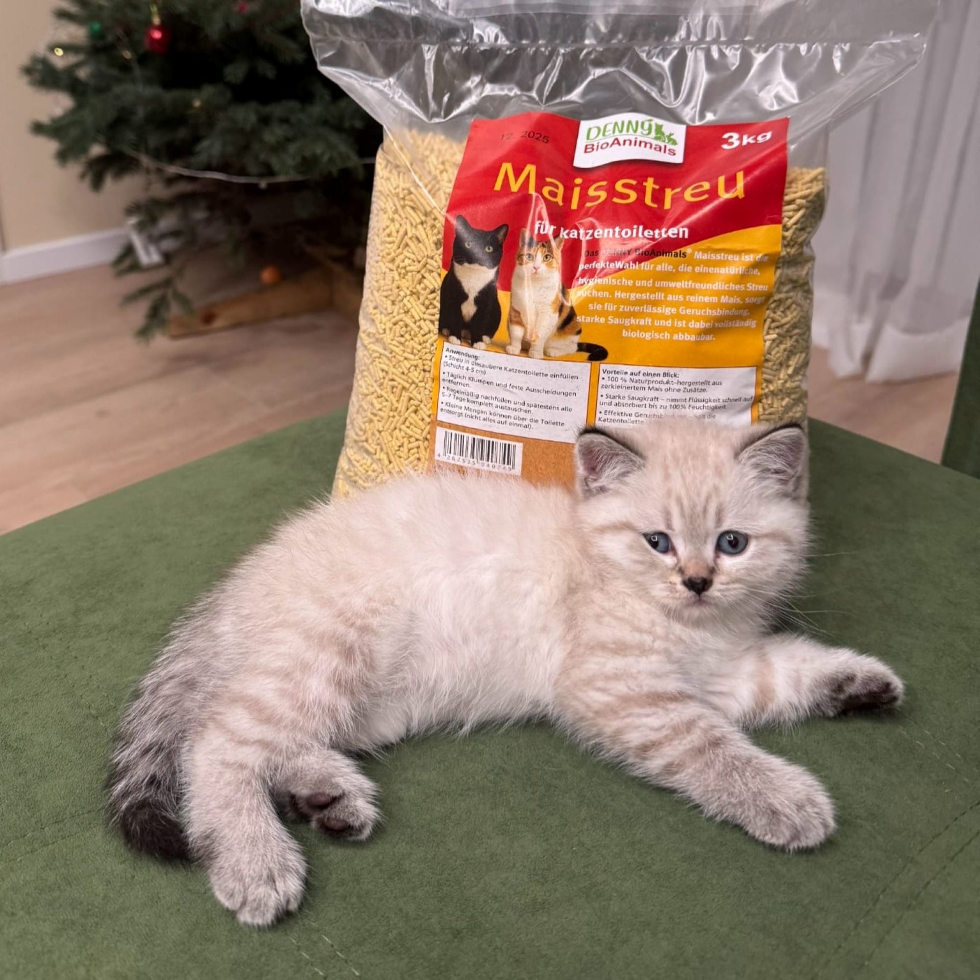 Denny BioAnimals ® Maisstreu Katzenstreu 3 kg/ 8 L– 100 % natürlich & biologisch abbaubar – klumpend, staubfrei & geruchsneutral – nachhaltiges Katzenstreu aus Maisfasern.