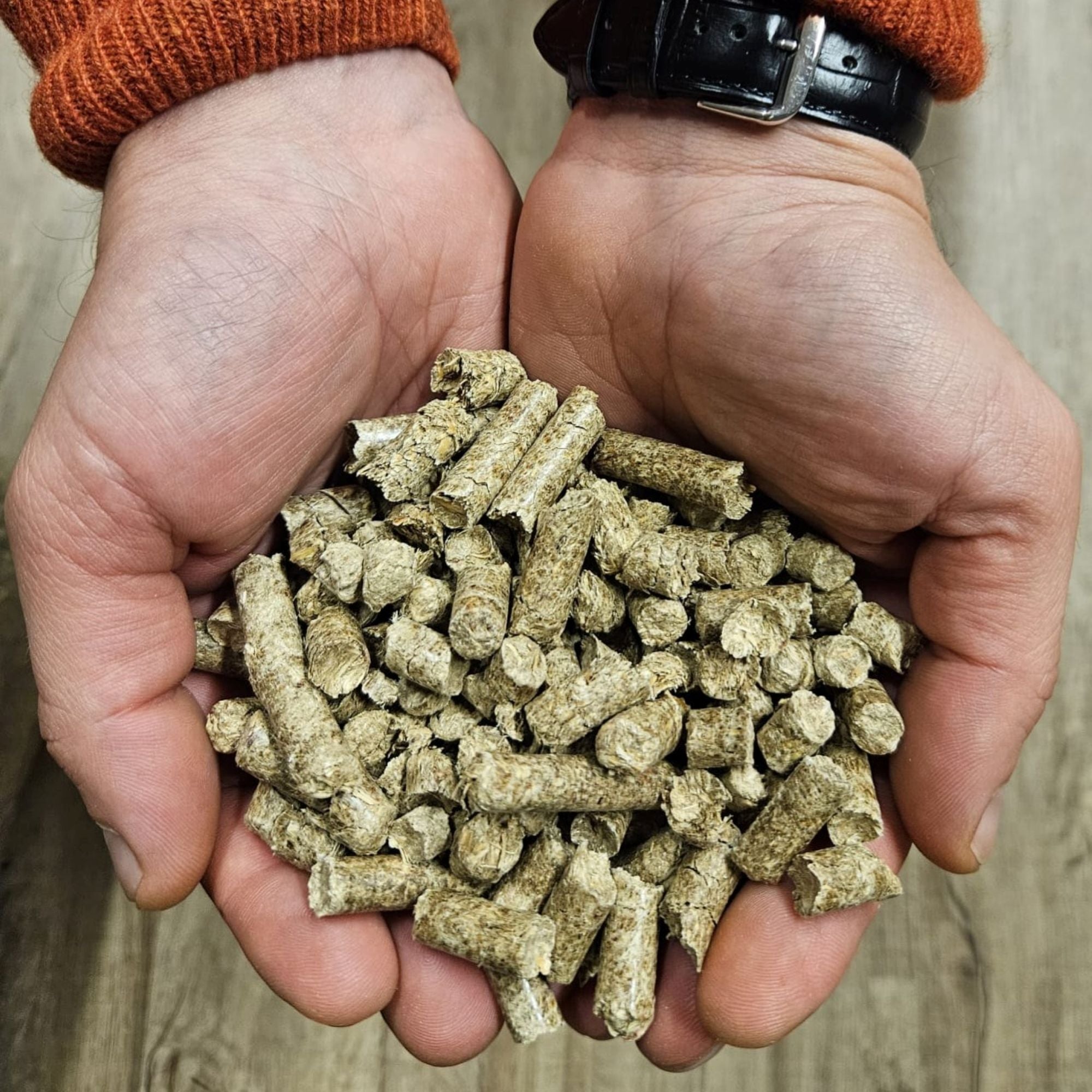 Miscanthus Pellets Einstreu 8 mm – 15 kg Sack | 100% Naturprodukt | Staubarme Pferde- & Tierstreu | Hohe Saugkraft & Geruchsbindung | Umweltfreundliche Alternative zu Sägespänen