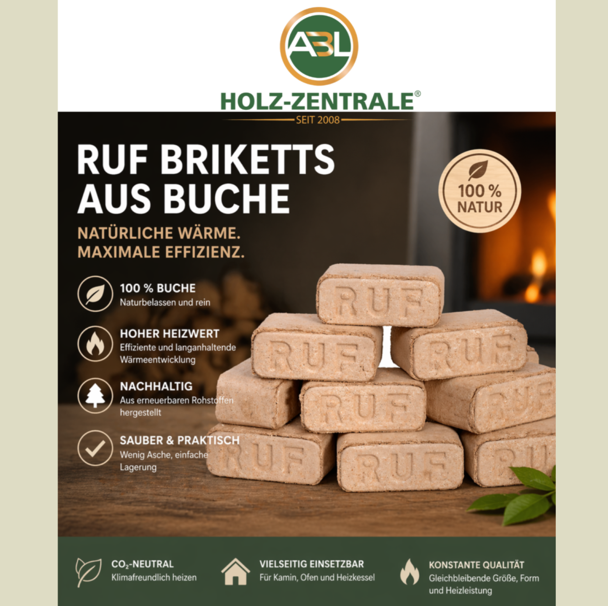 Holzbriketts RUF aus Buchenholz 10 Kg Packung