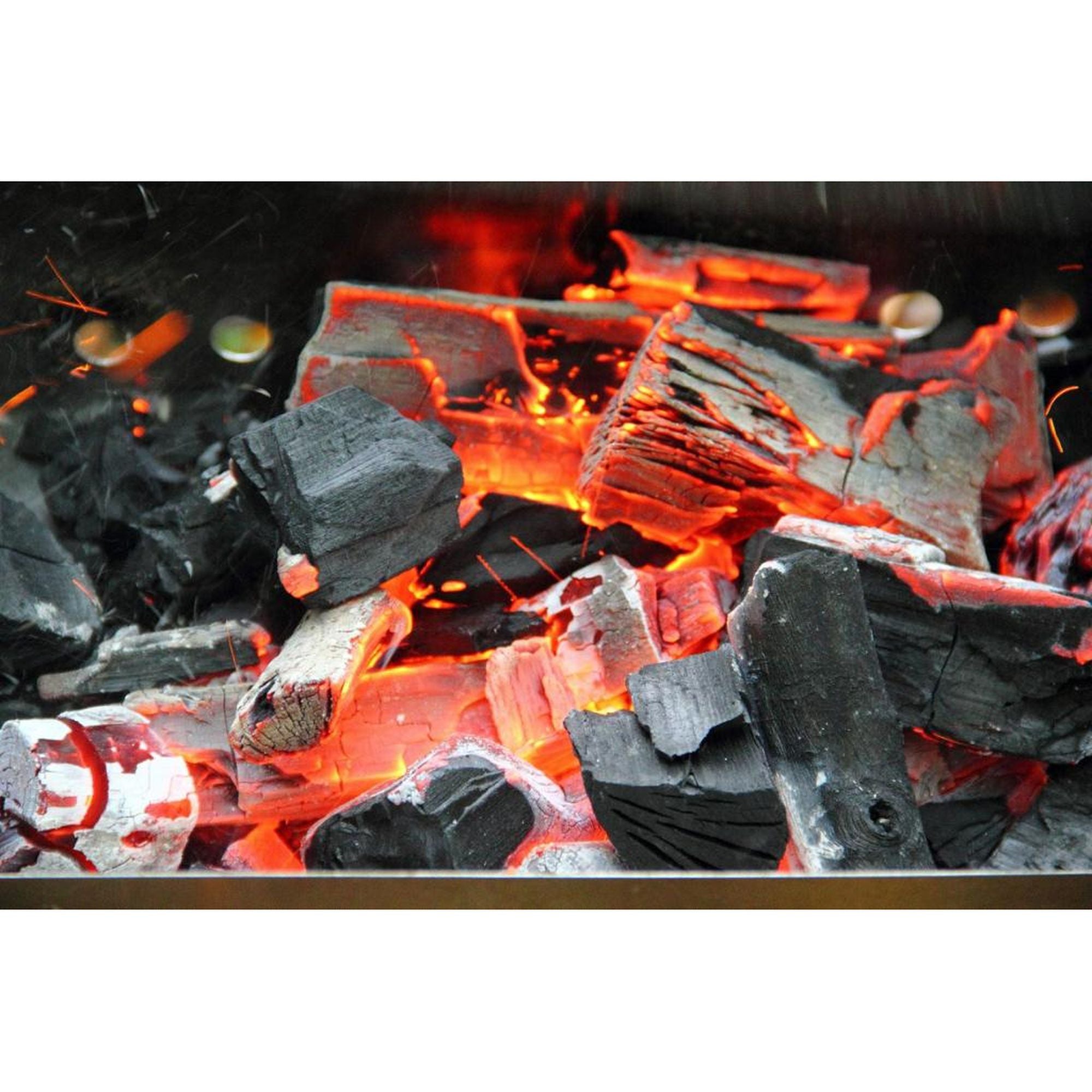 BIOGRILL® charcoal 2.5 kg made from beech, oak, ash