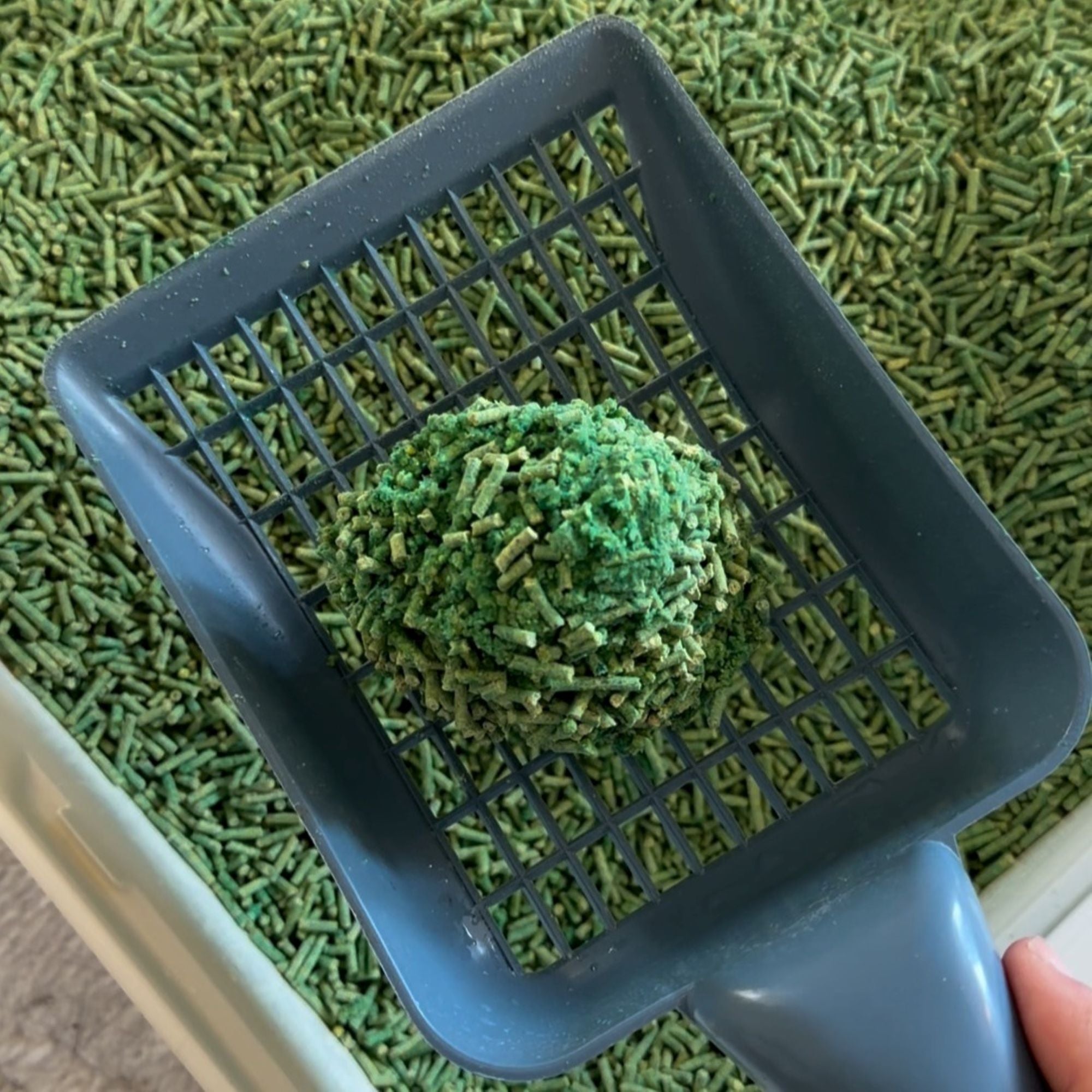 Denny BioAnimals® SET Katzenstreu 18 kg  (9 kg Tofu  + 9 kg Mais)  (1 Tutte 3 kg Mais kostenlos)  – natürlich & biologisch abbaubar – saugstark, klumpend, staubfrei & geruchsneutral – nachhaltige Katzenstreu aus Pflanzenfasern.