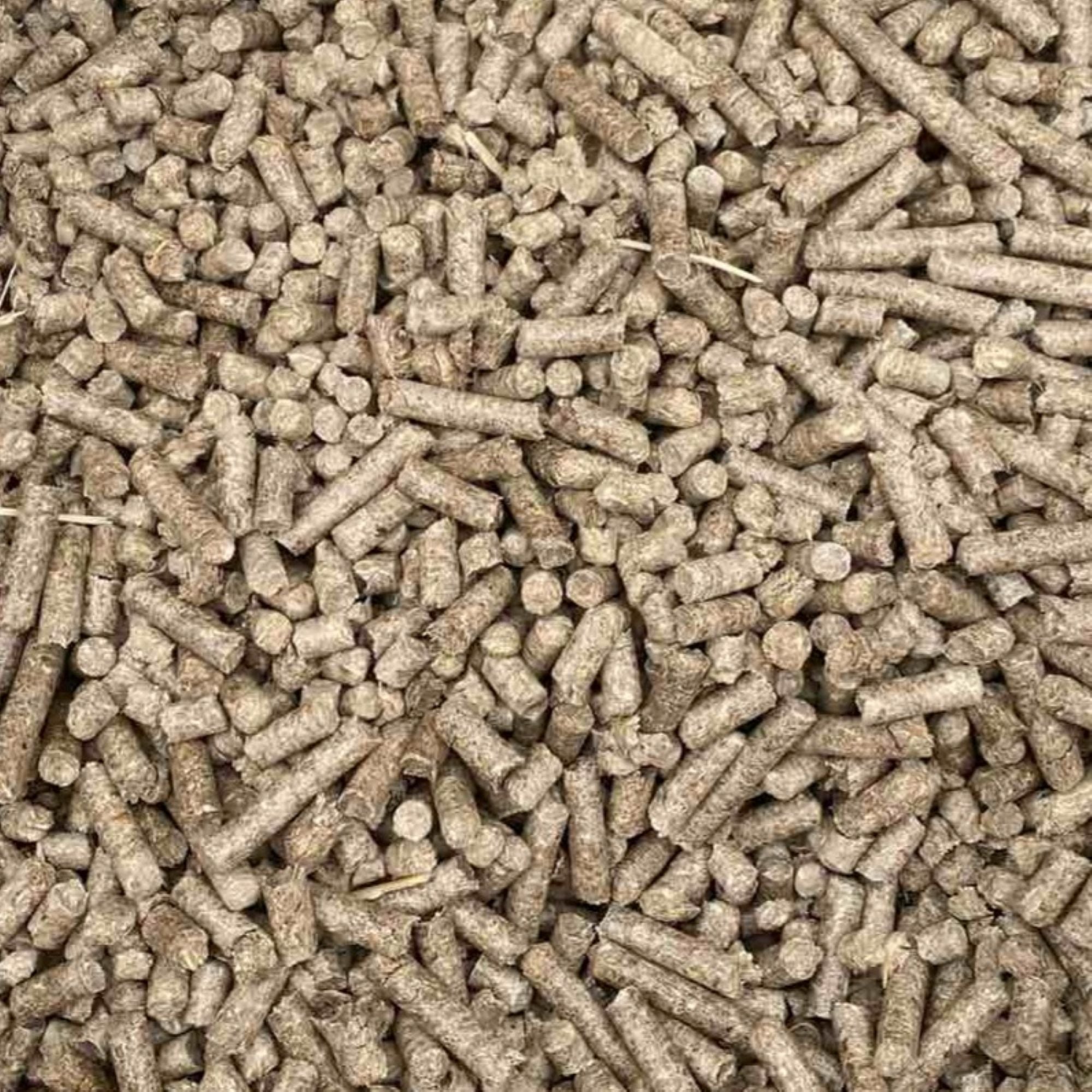 Miscanthus Pellets Einstreu 8 mm – 1000 kg BigBag | 100% Naturprodukt | Staubarme Pferde- & Tierstreu | Hohe Saugkraft & Geruchsbindung | Umweltfreundliche Alternative zu Sägespänen