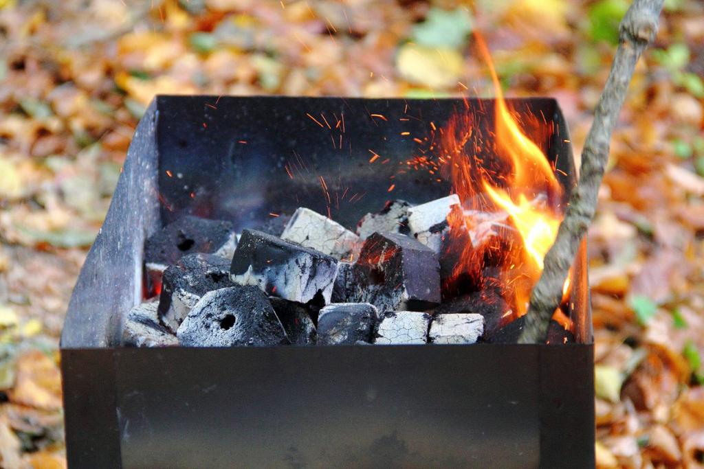 BIOGRILL® Grill-Holzkohle Briketts Buche